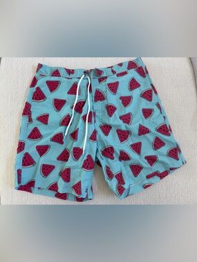 Aqua Watermelon Print Swim Trunks Large
